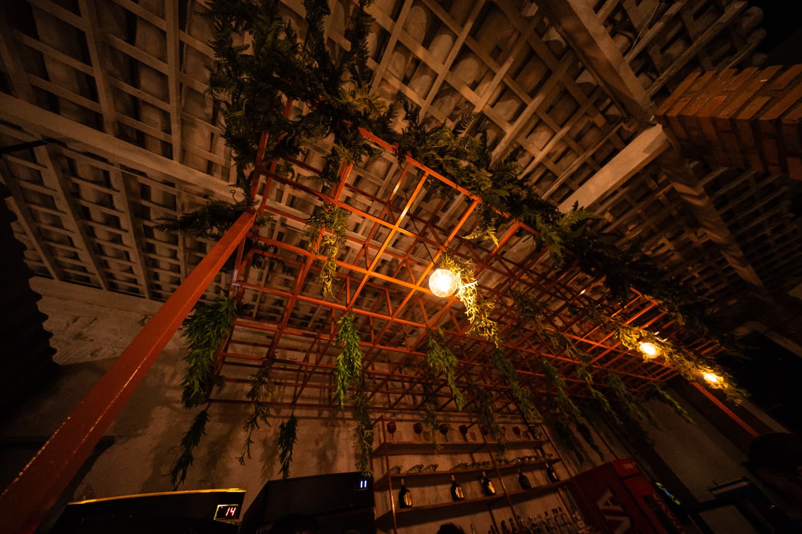 Teto do bar com estrutura metálica e plantas